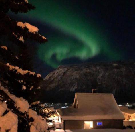 Tromso Arctic Villa With Free Parking מראה חיצוני תמונה